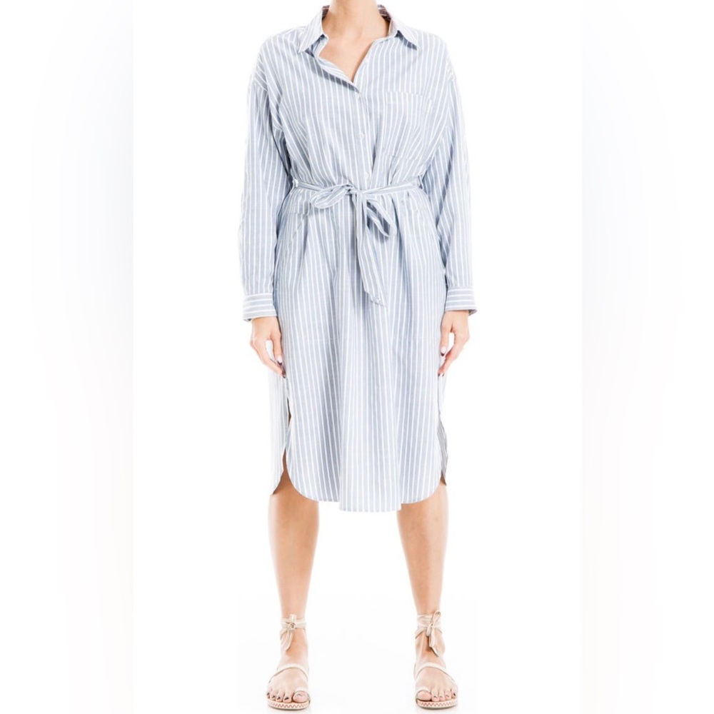 Max Studio shirt dress